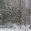 firstsnow2012.jpg